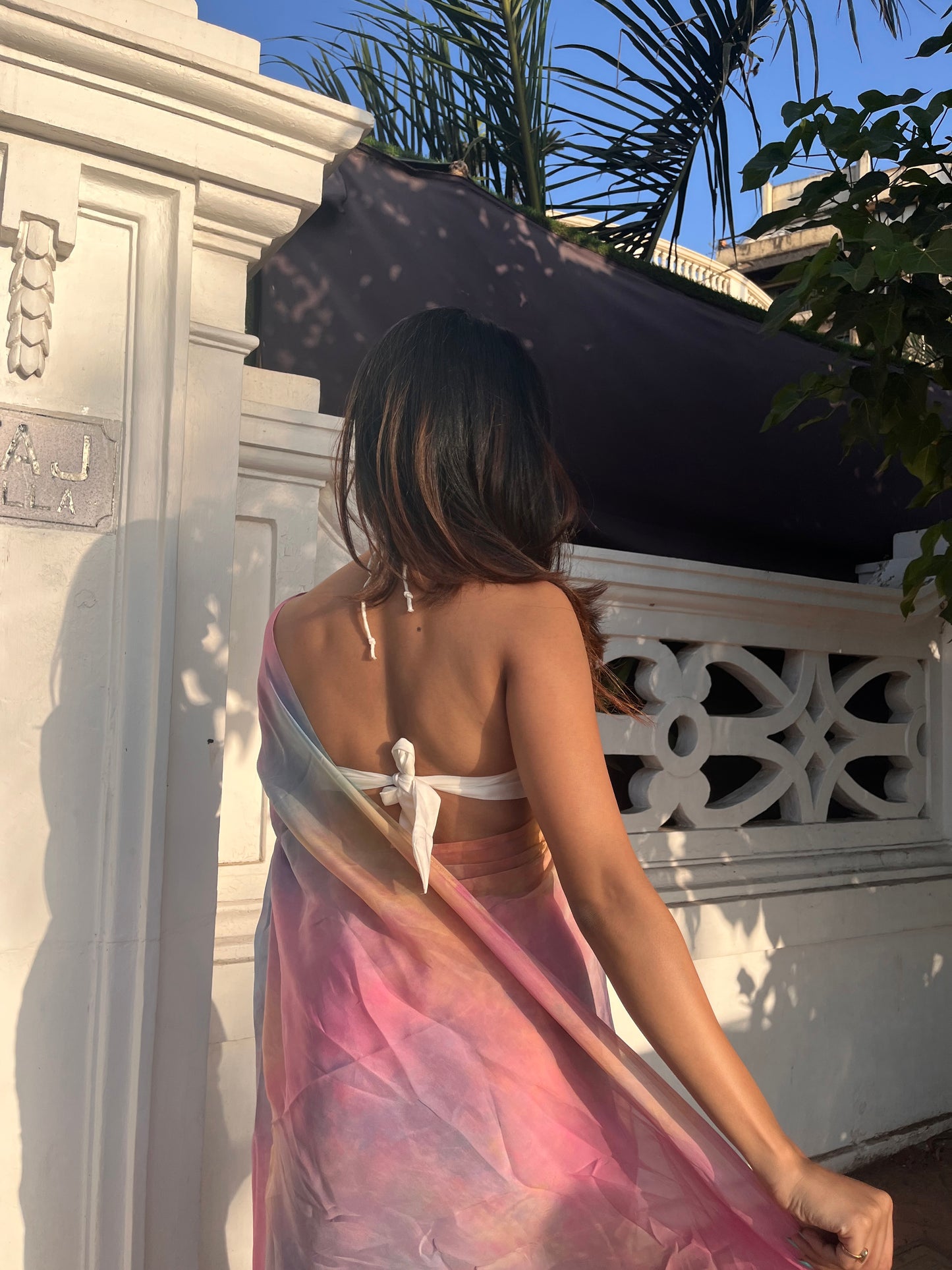 Noori Organza Saree