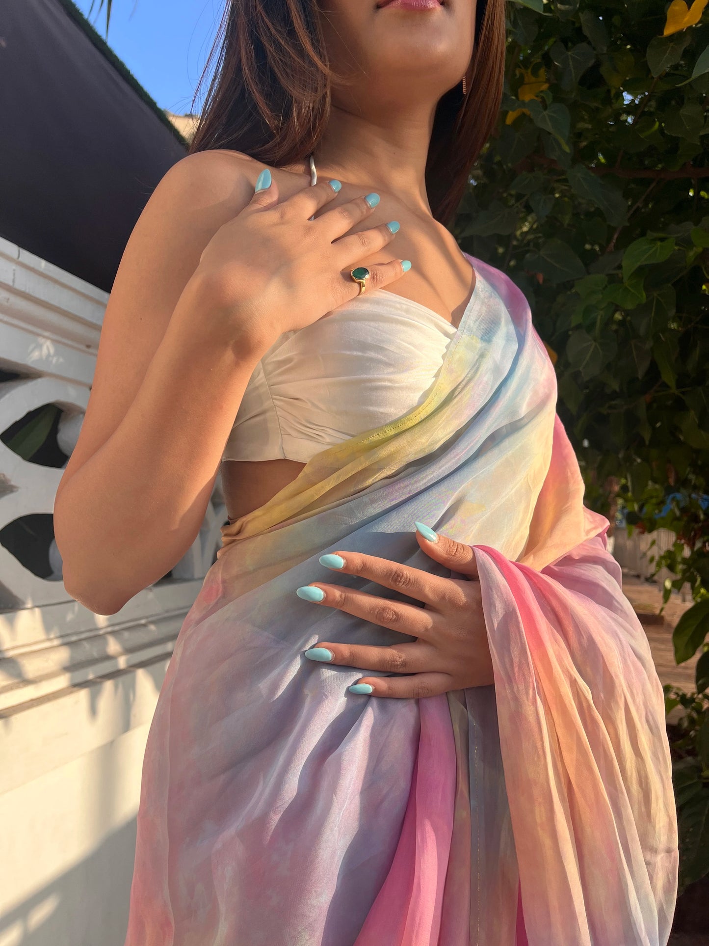 Noori Organza Saree